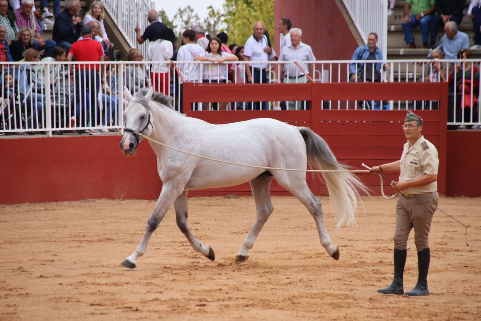 20230902111834-img-7081