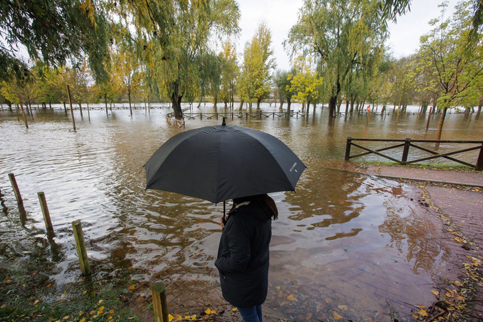 El río Águeda desbordado en Ciudad Rodrigo