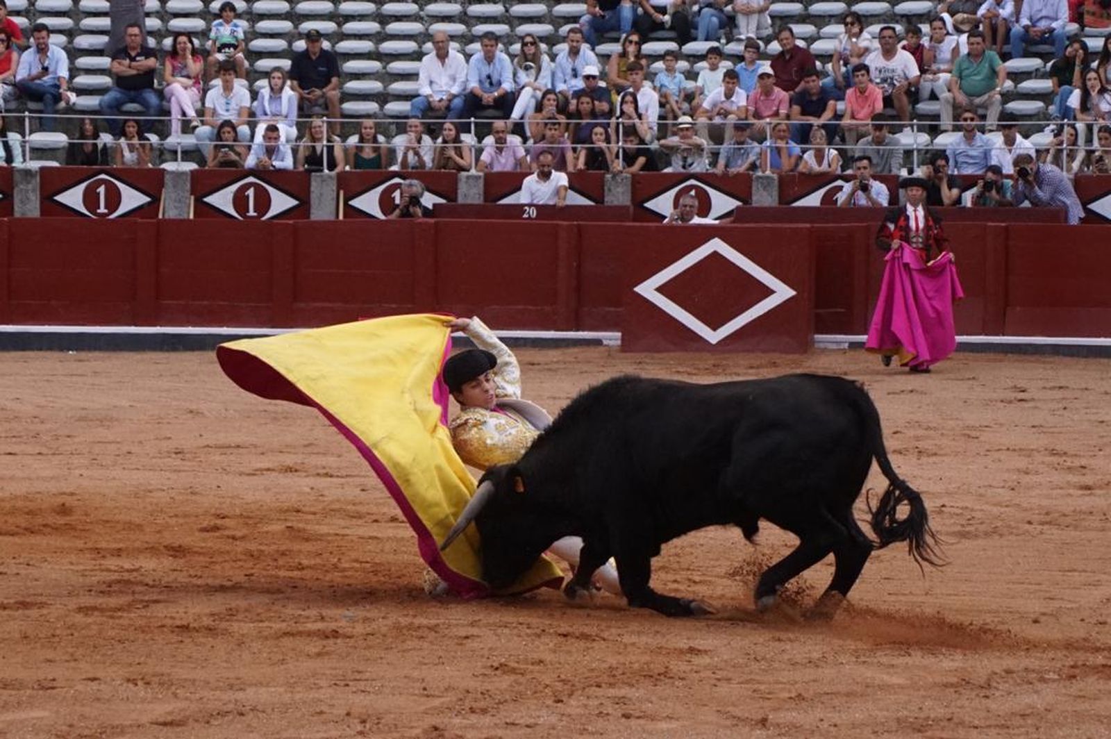 whatsapp-image-2023-09-08-at-21-23-54-2