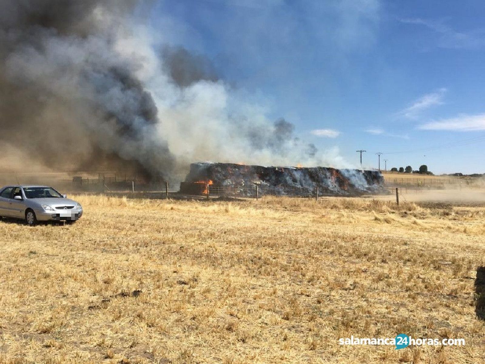 Fuego Castro Enríquez (14)