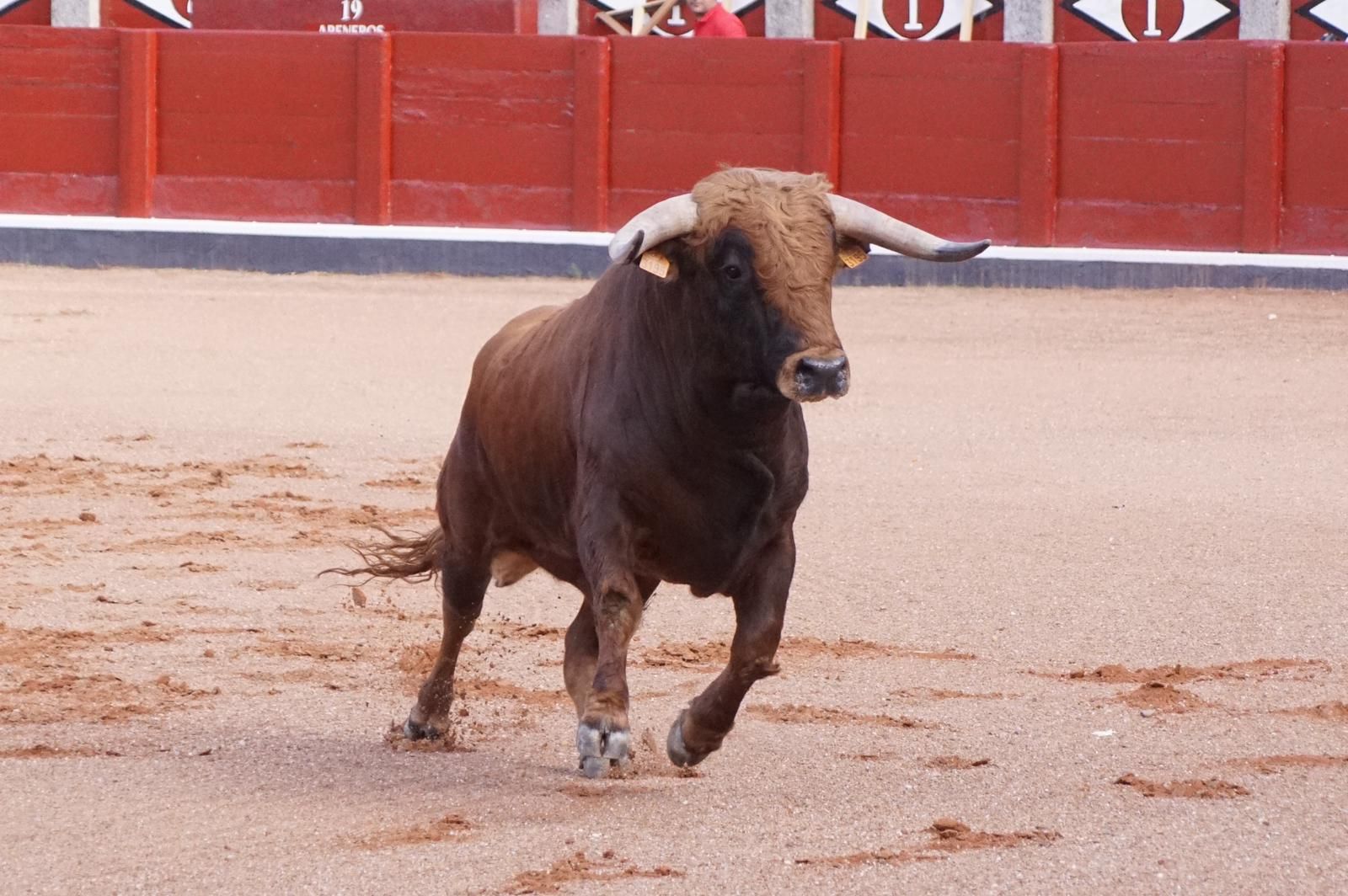 whatsapp-image-2023-09-08-at-19-29-12