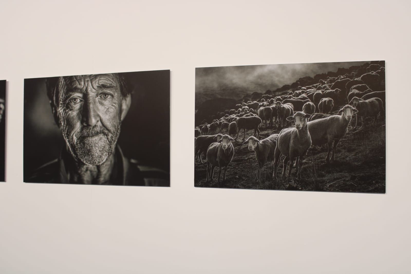 exposicion-transversalidades-fotografia-sin-fronteras-20