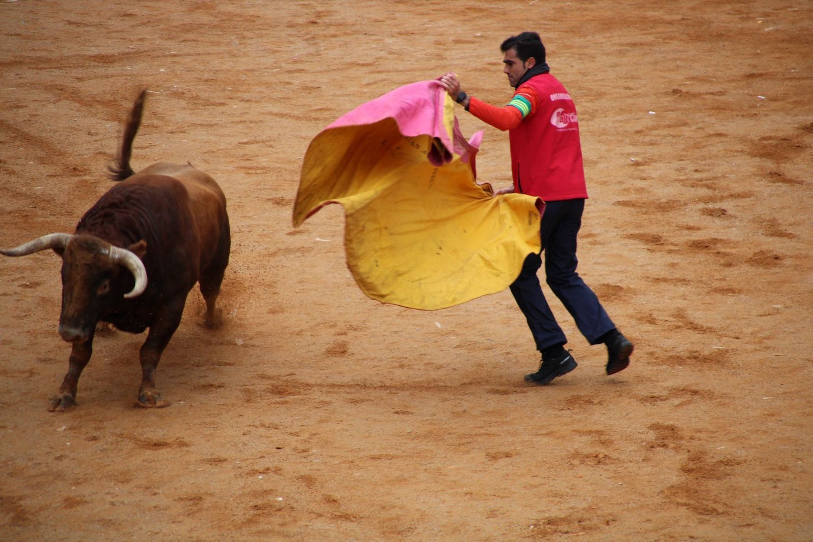 whatsapp-image-2025-03-01-at-13-18-36-1