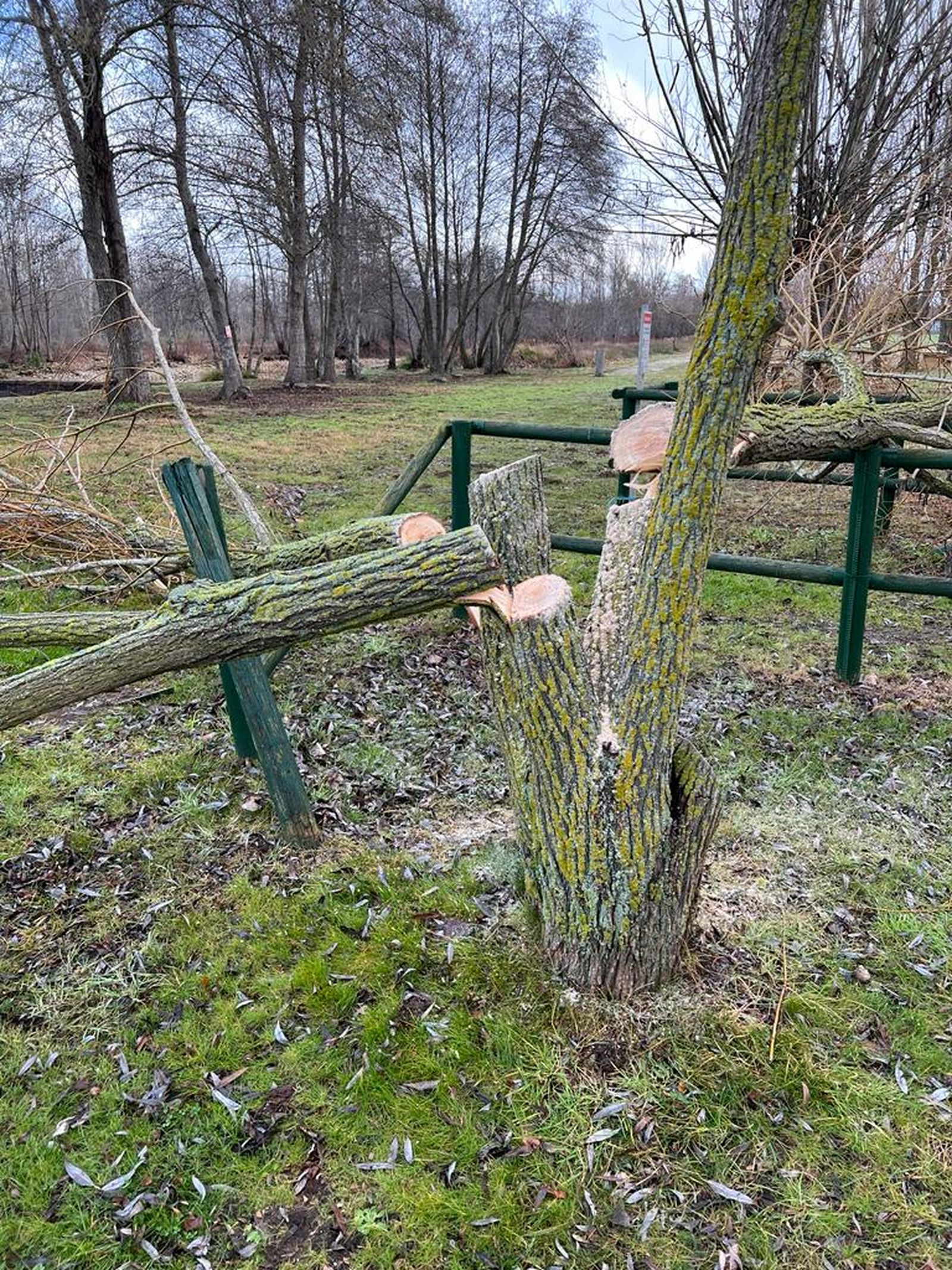 whatsapp-image-2024-01-04-at-13-16-41