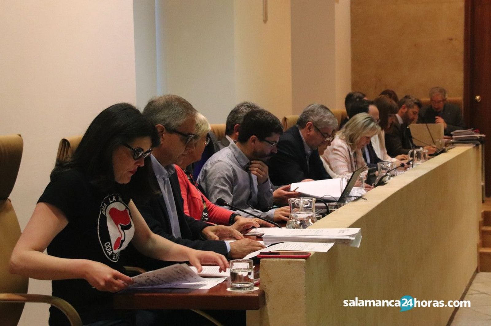 Pleno Ayuntamiento 10 mayo 20199