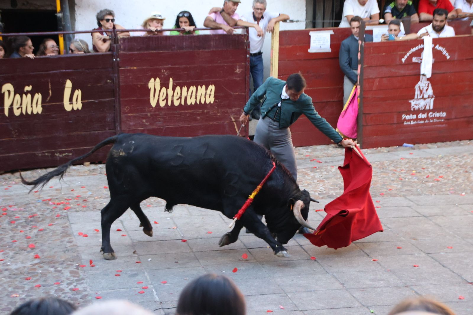 San Esteban de la Sierra, festival taurino sin picadores