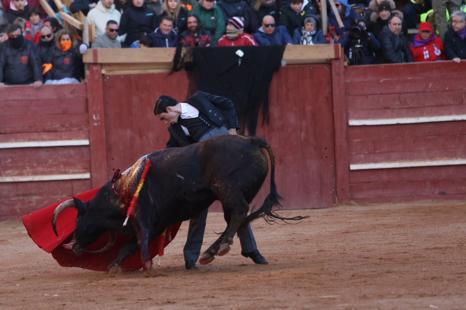 Festival taurino del Sábado en el Carnaval del Toro 2026 de Ciudad Rodrigo