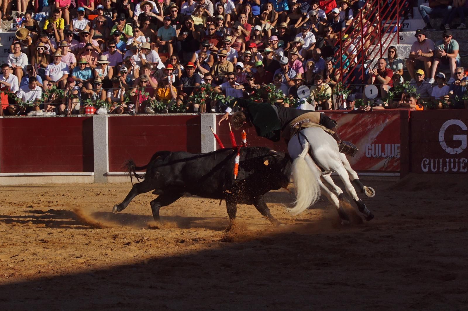 corrida-rejones-guijuelo-112