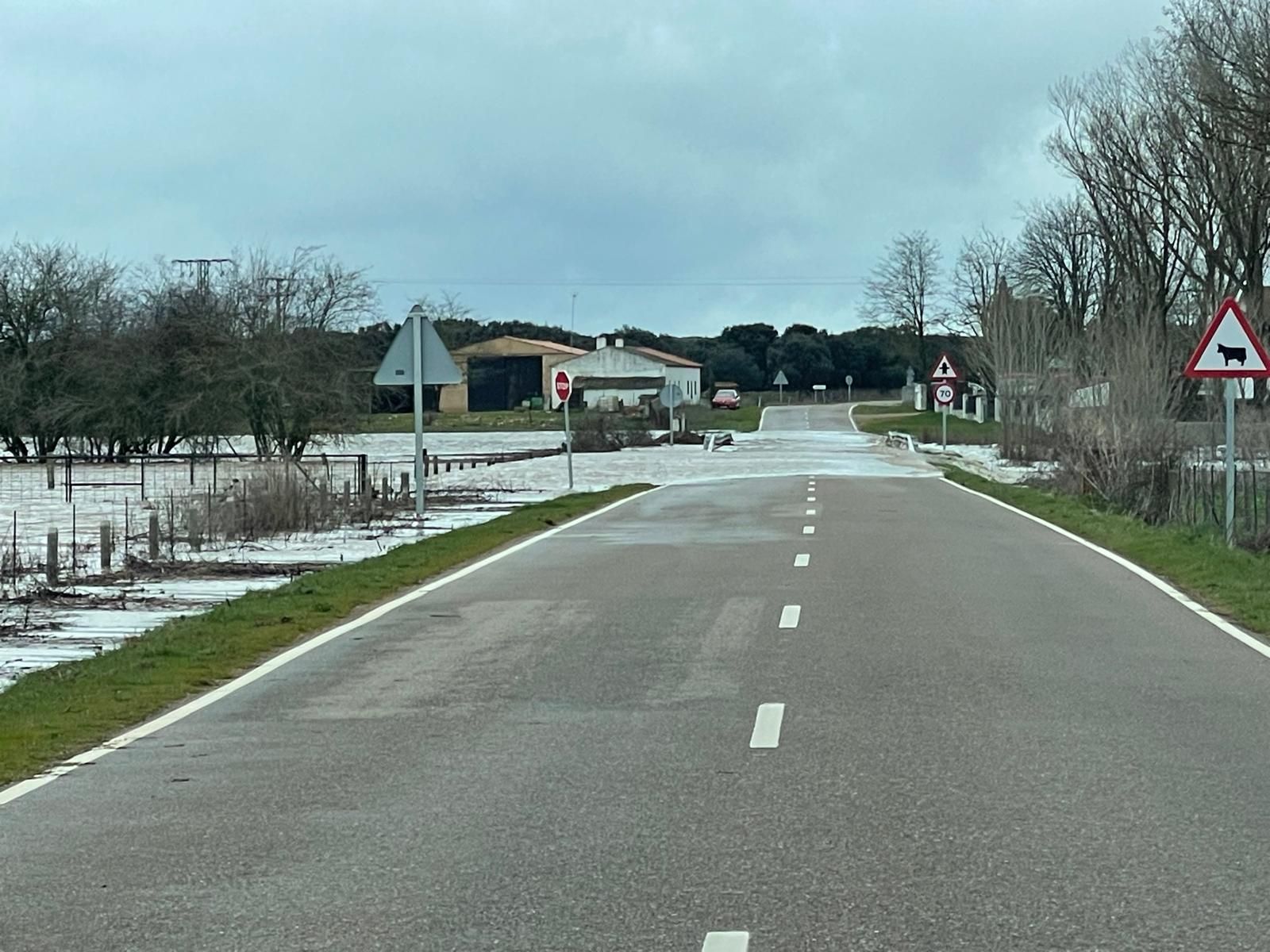 Inundada la  DSA-310, en la carretera de Matilla de los Caños (6).jpeg