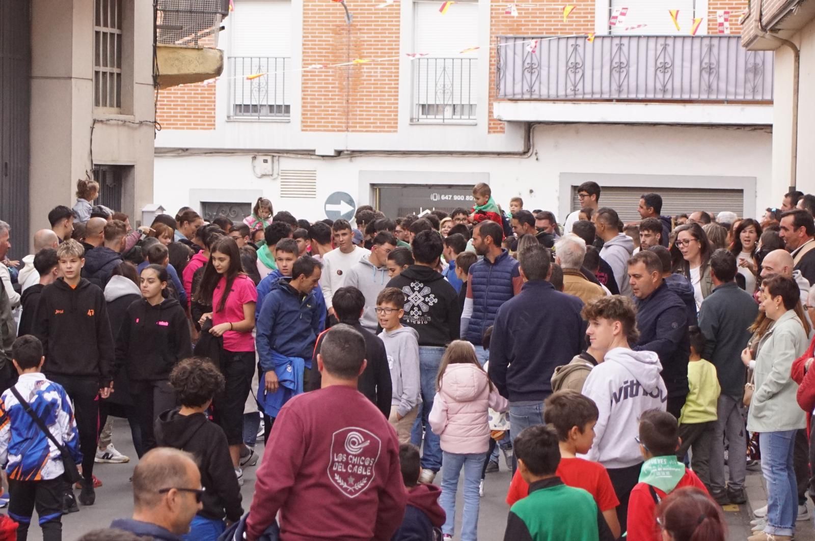 Alba de Tormes celebra un encierro, capea y encierro de minibueyes