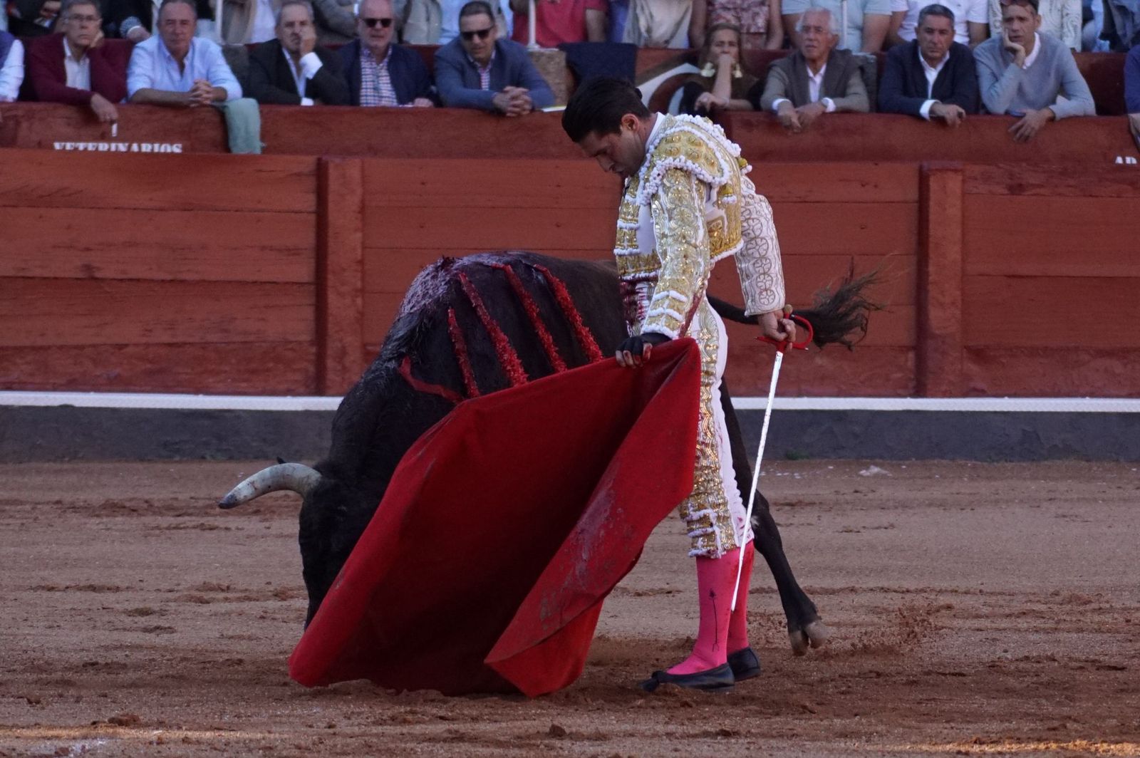 La corrida concurso para despedir la feria con Morante, Talavante y Borja Jiménez: imágenes de los mejores momentos en La Glorieta