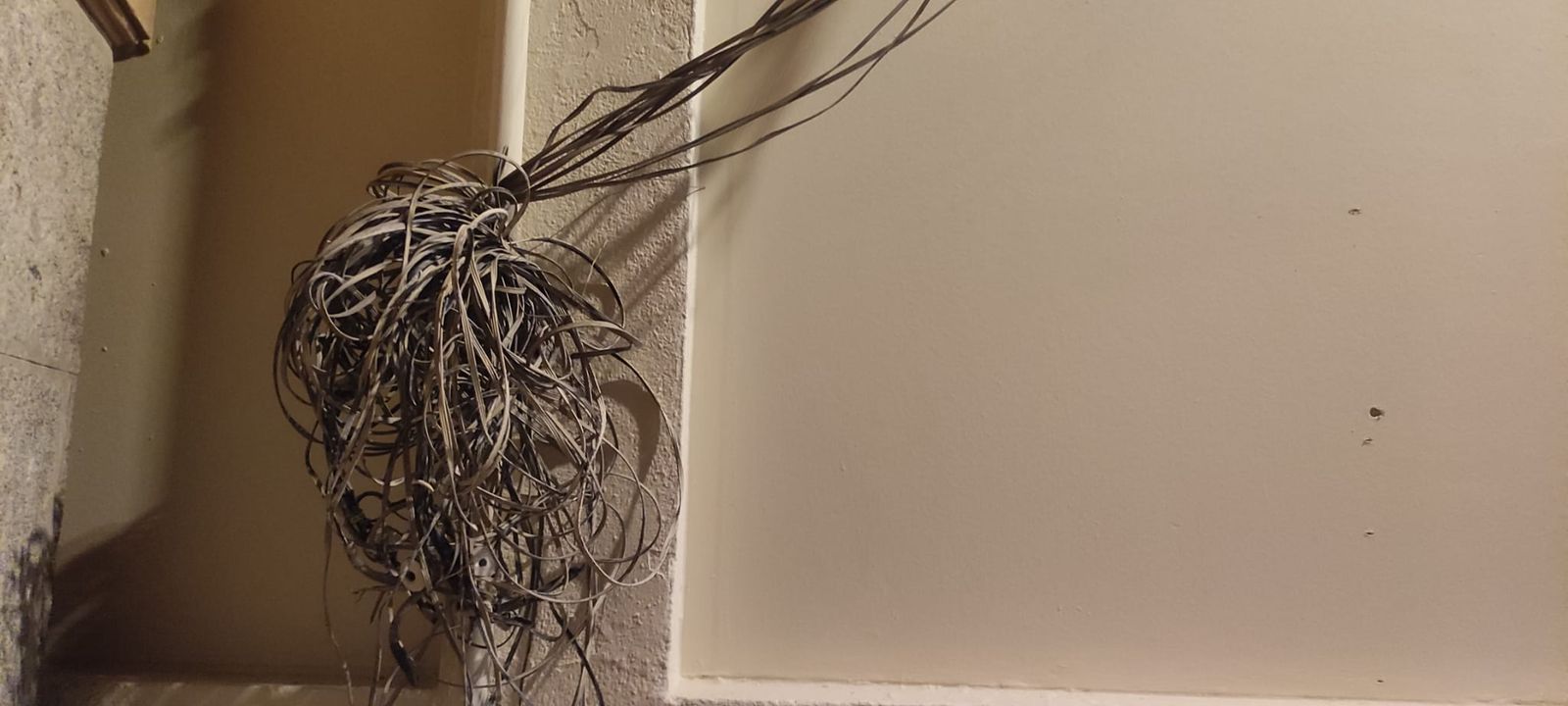 Cableado en las fachadas de la calle Reja