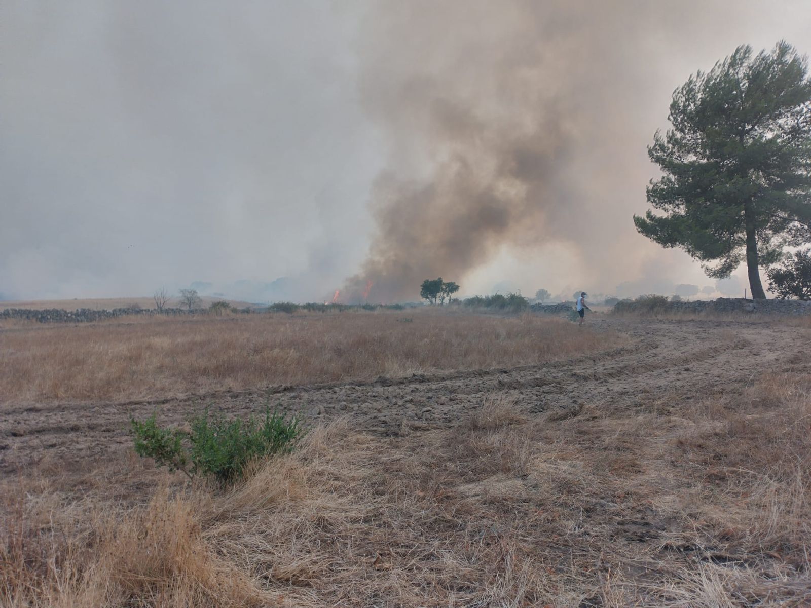 El Groo quemado tras el incendio de Cipérez (7).jpeg