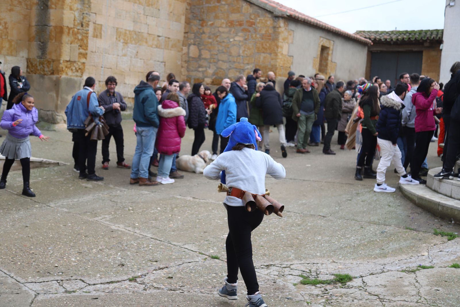 zangarron-de-sanzoles-2022-22