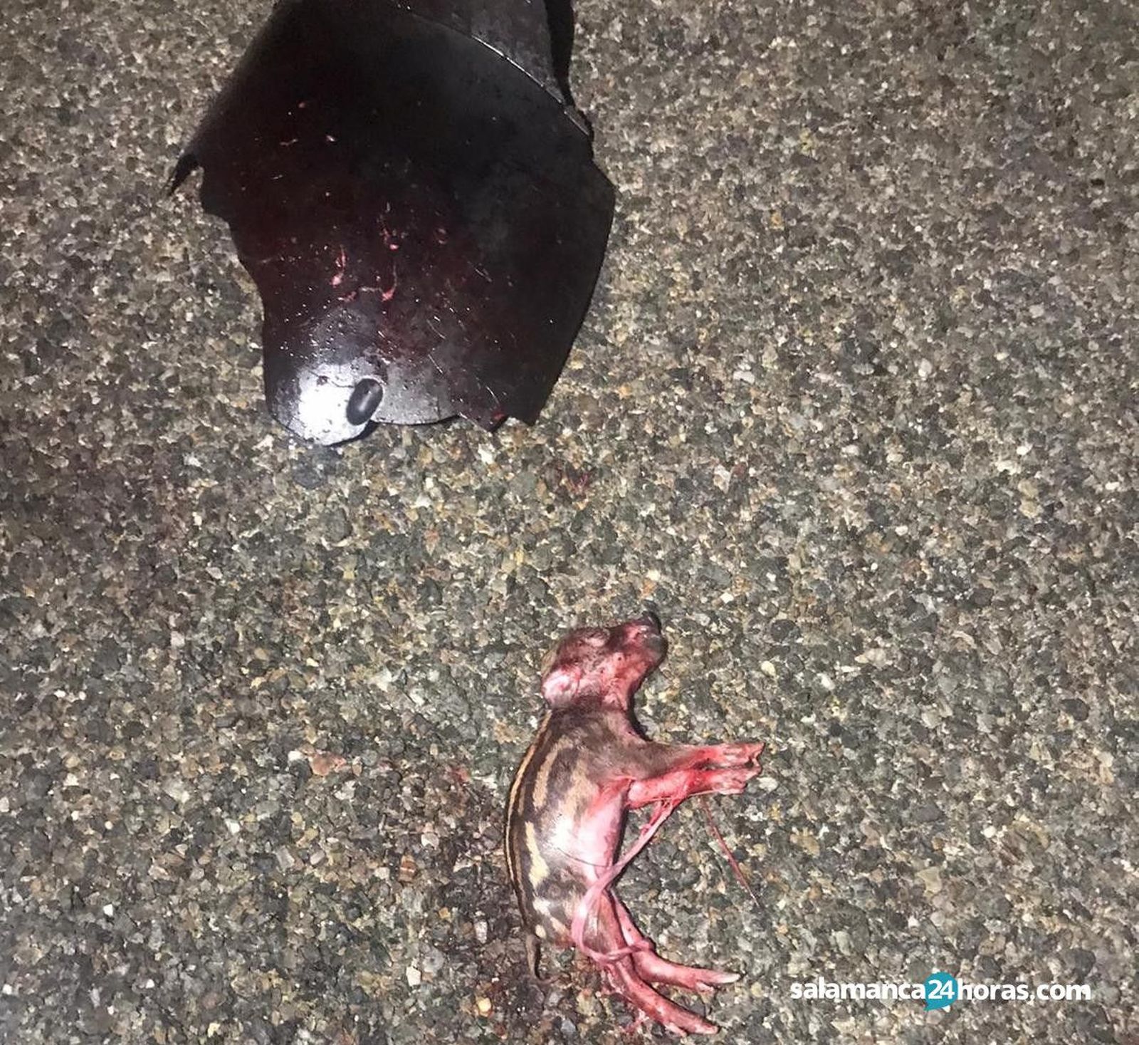 Jabali?es accidenteWhatsApp Image 2020 02 10 at 08.14.18 (2)