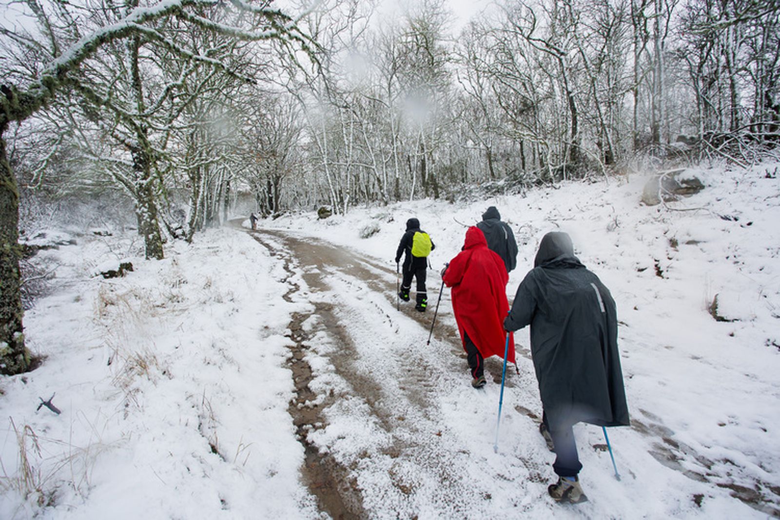 La nieve hace acto de presencia en el sur de la provincia de Salamanca