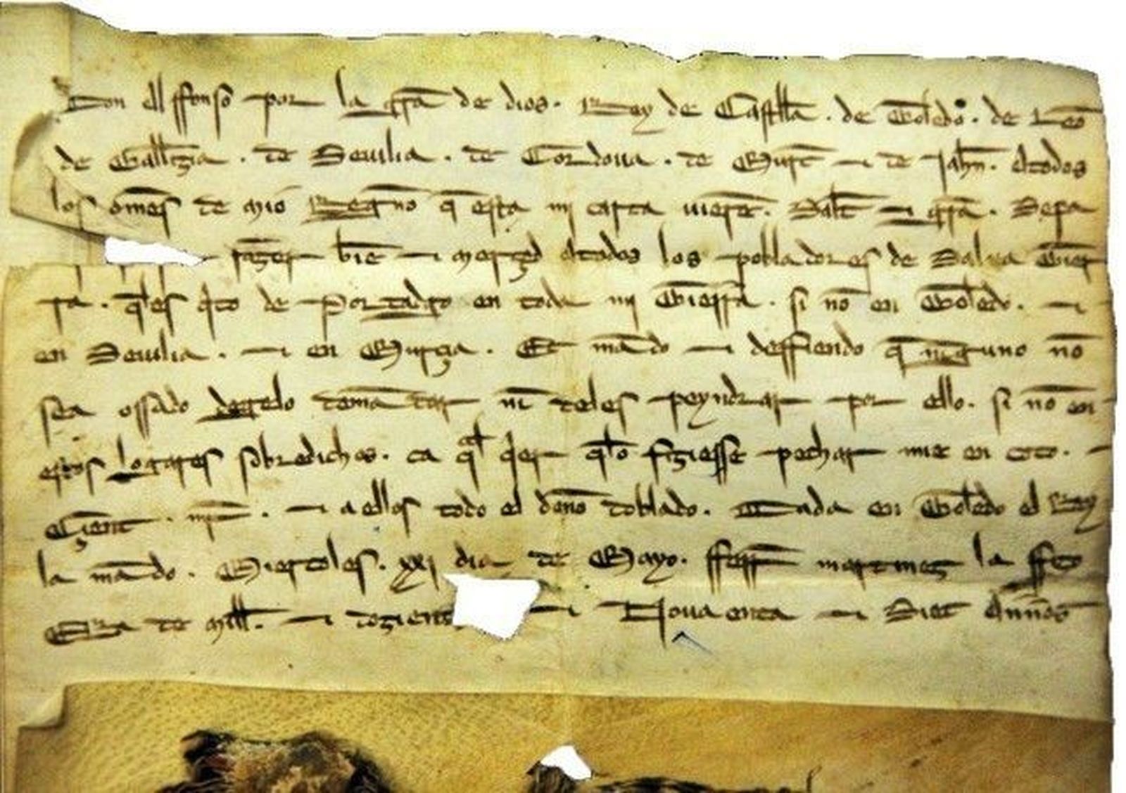 Convocatoria para equipamiento y organización de archivos municipales