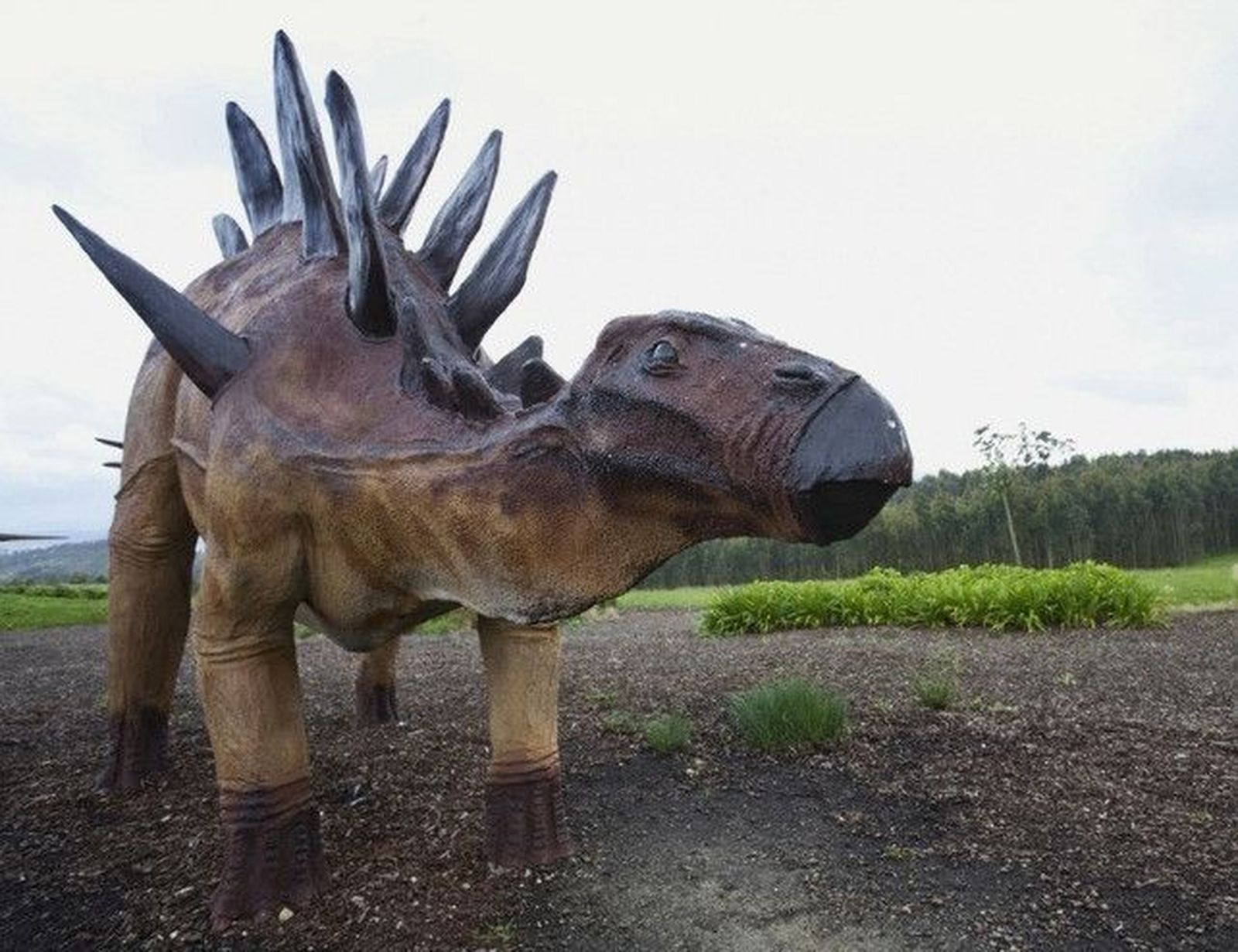 Dinosaurio. Foto de archivo.