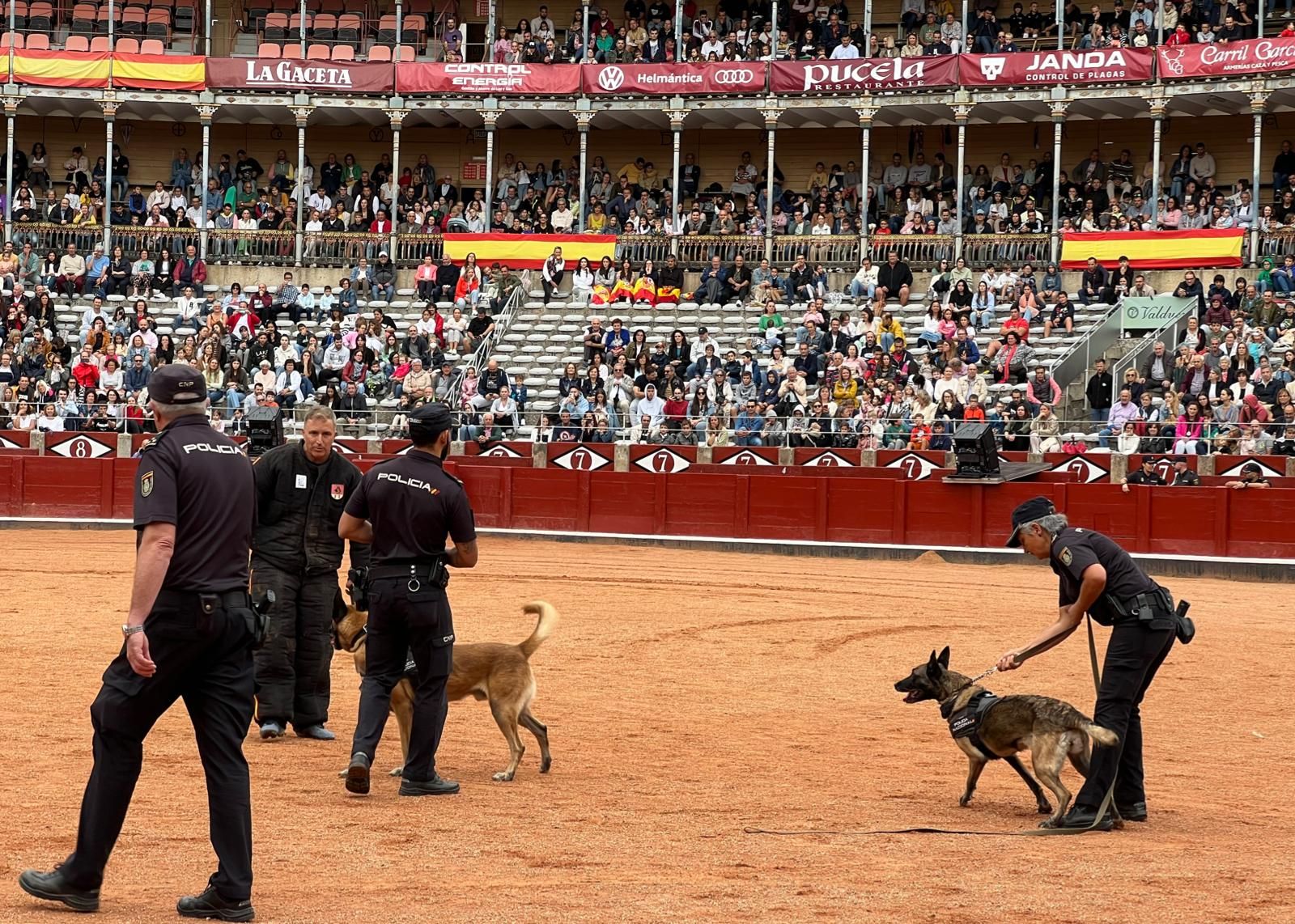 Exhibición unidad canina de la Policía Nacional en La Glorieta. Foto Andrea M.