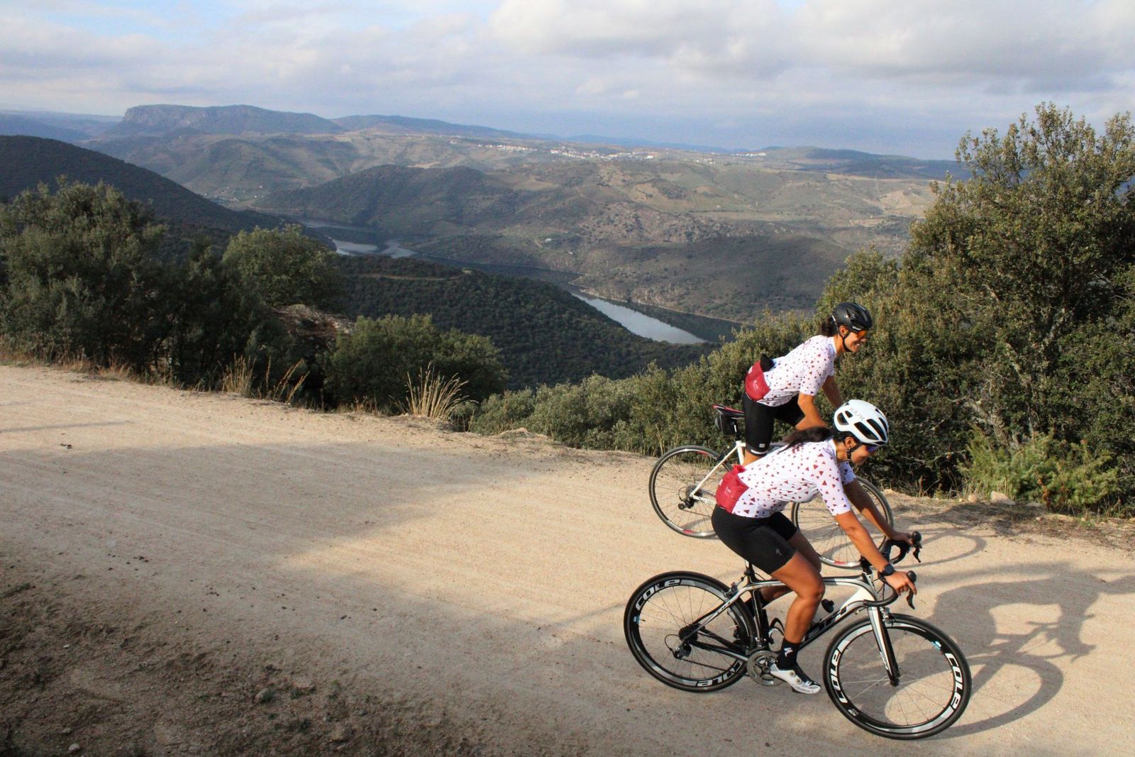 20221016110820-img-4753