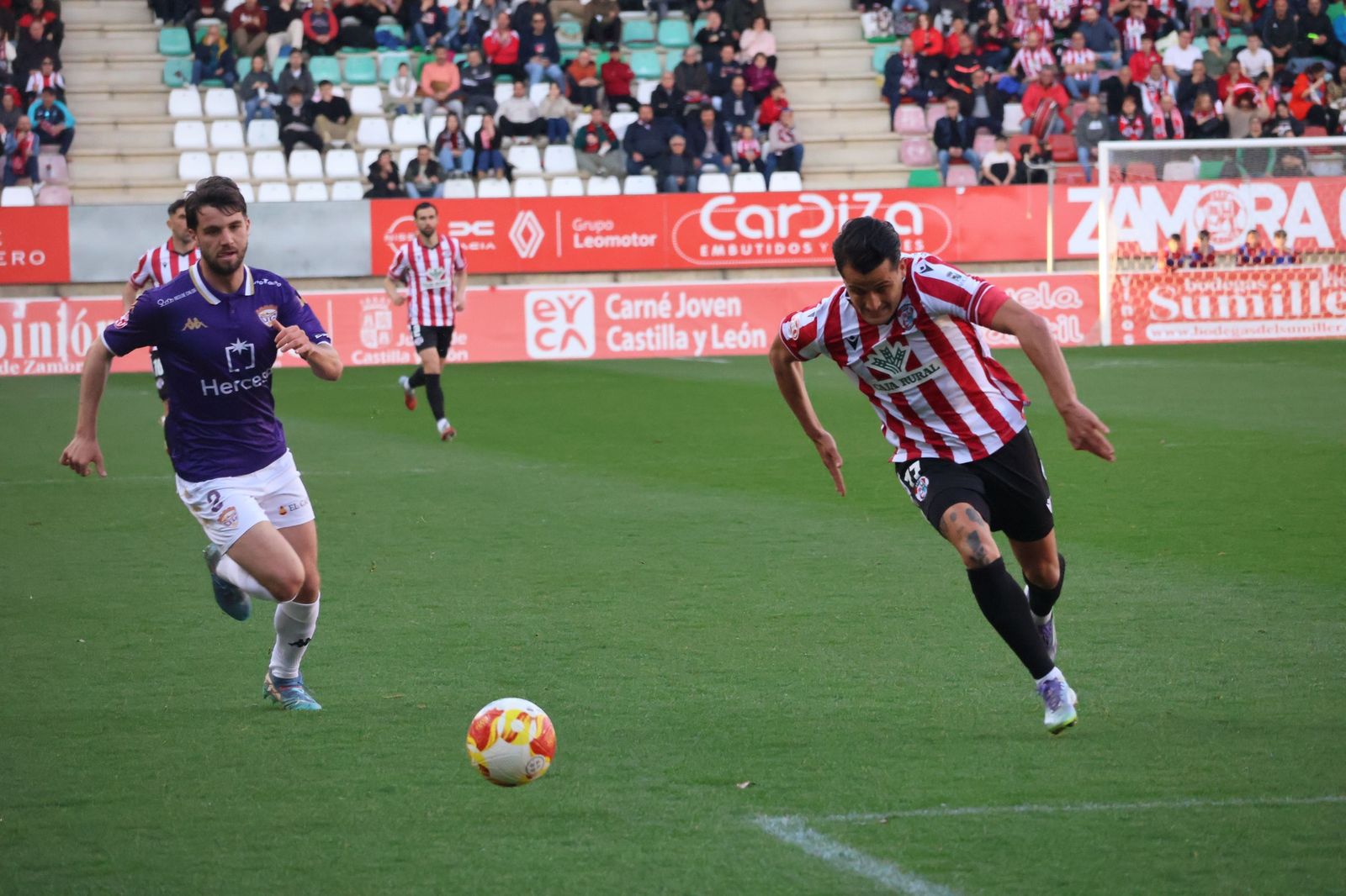 ZAmora CF - CD Guadalajara
