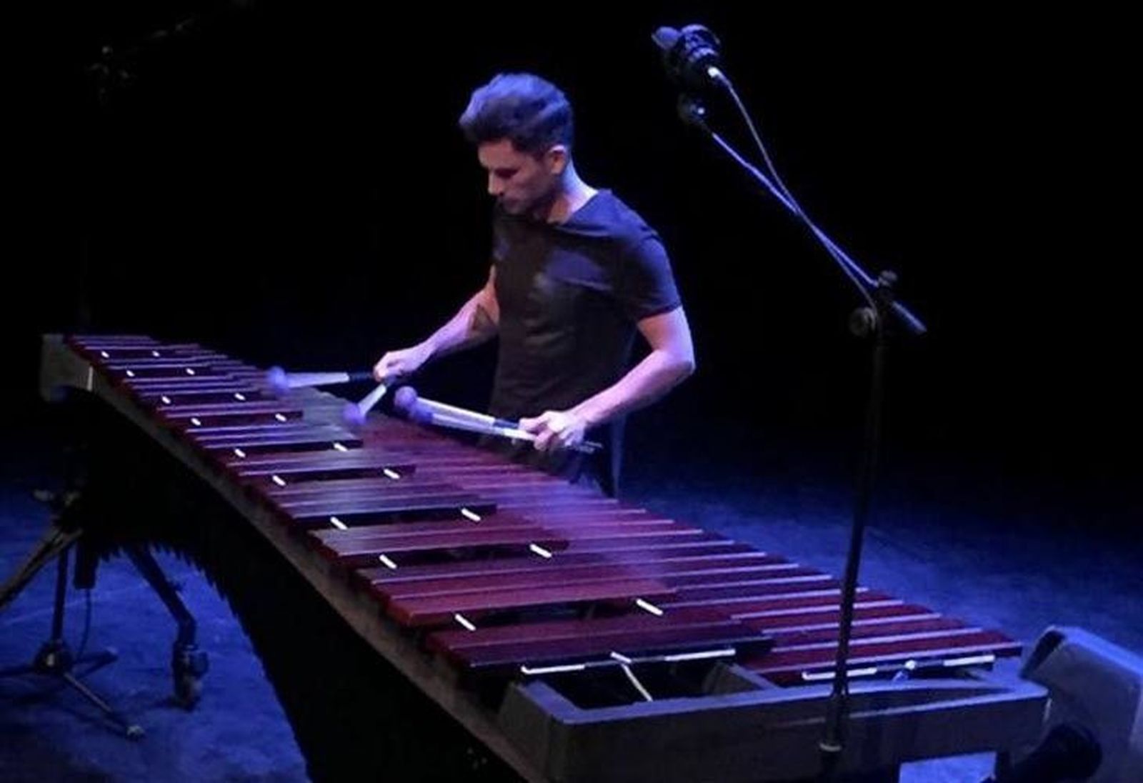 El músico zamorano Diego Rubio asombra a los toresanos con su técnica con la marimba