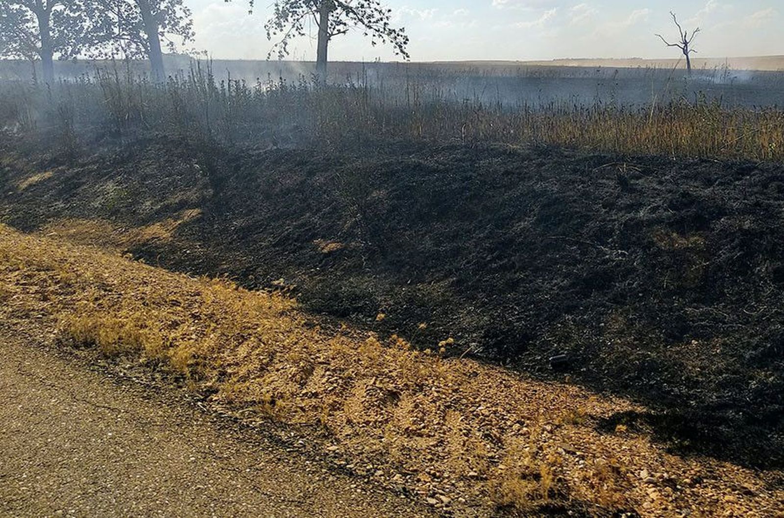 WhatsApp Image 2020 06 24 at 18.24.36