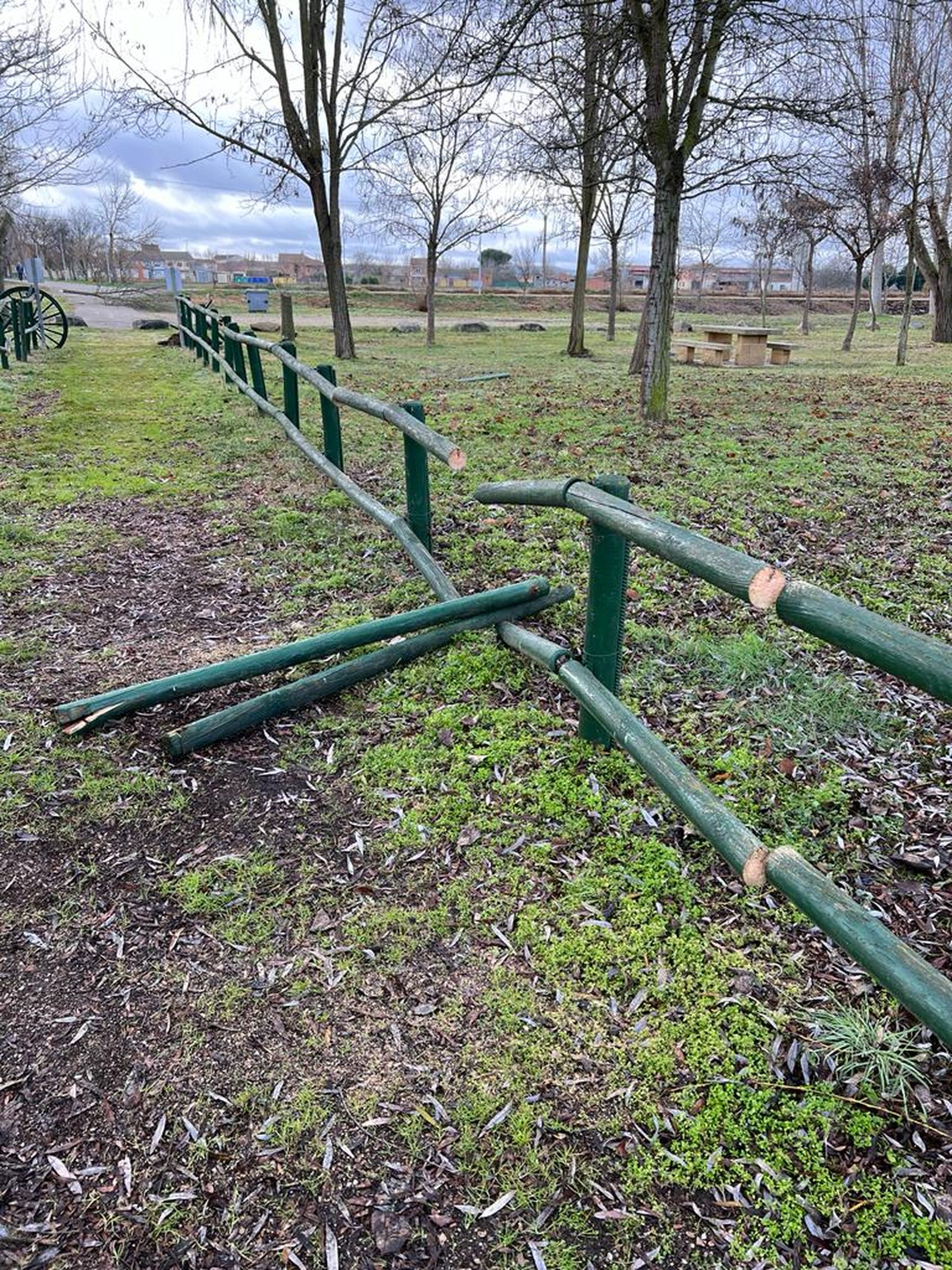 Imagen de los destrozos realizados en la localidad