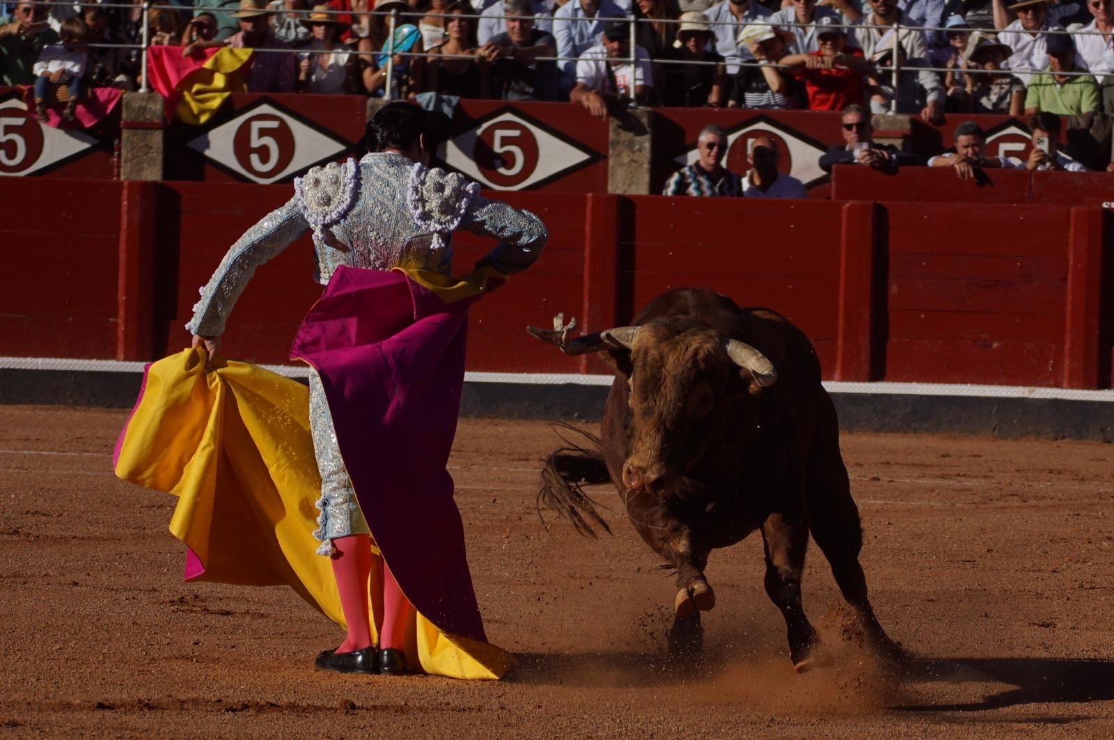 Emilio de Justo, Juan Ortega y Roca Rey inauguran el cartel de figuras en la feria de Salamanca: la corrida de Garcigrande en imágenes