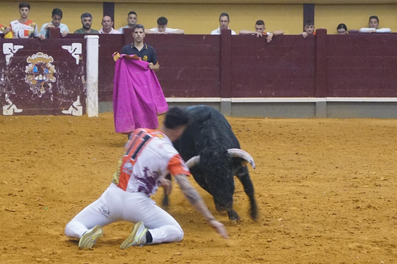 Alba de Tormes celebra un nuevo concurso de cortes