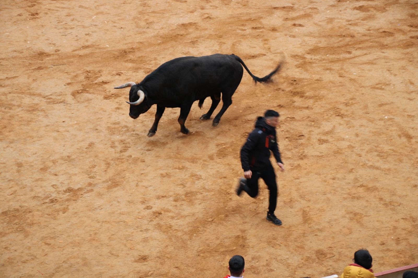 whatsapp-image-2025-03-01-at-13-18-51-1