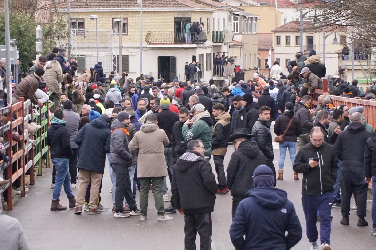 Capea matinal de domingo de carnaval en Ciudad Rodrigo (82).jpeg