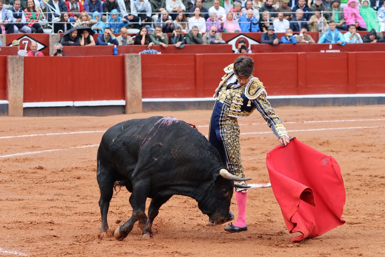 20230916172007-img-5242