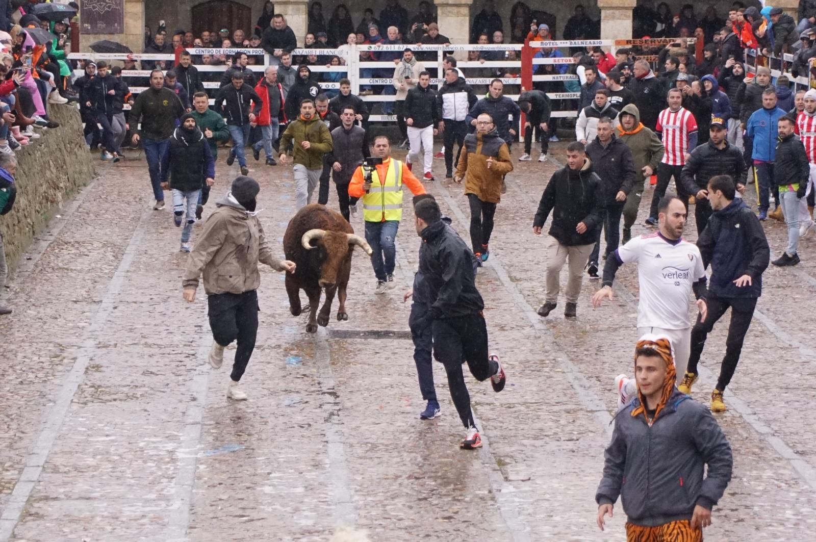 Encierro urbano lunes de Carnaval Ciudad Rodrigo 2025: encierro y ambiente. Foto: Juanes