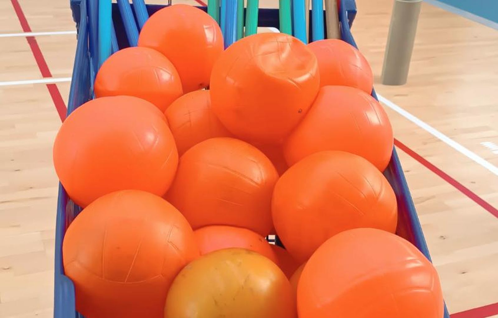 Condiciones en las que entrenan cincuenta personas en el pabellón de Würzburg