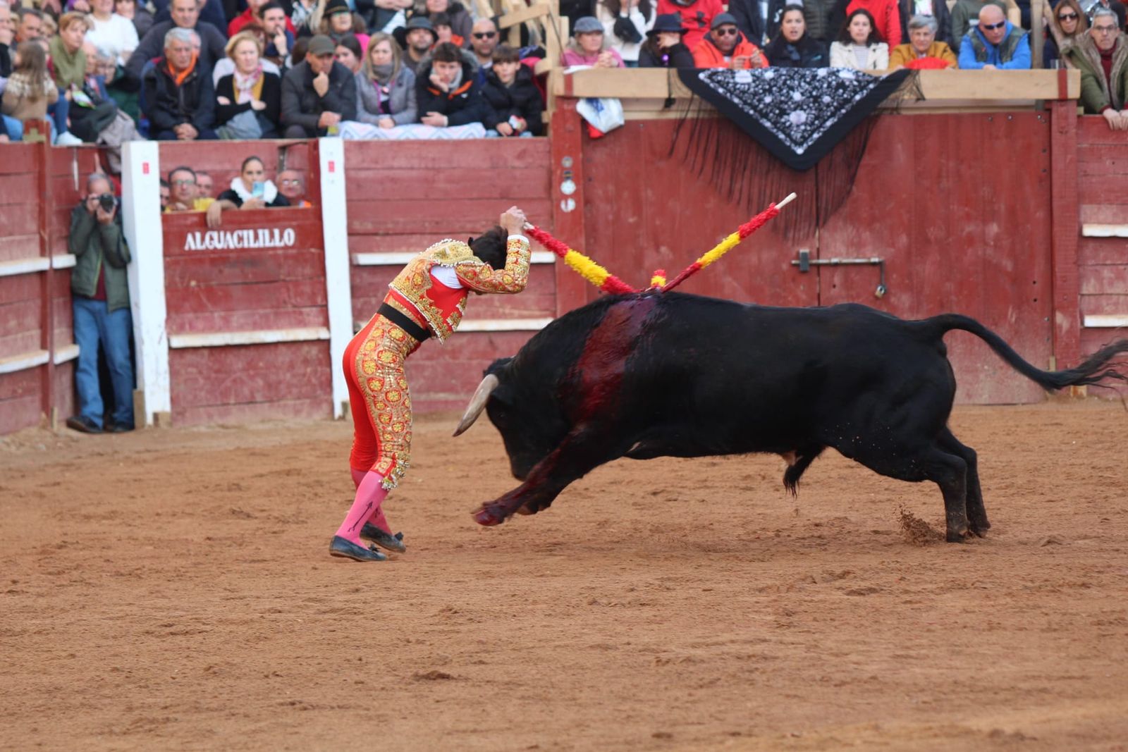 novillada-con-picadores-lunes-de-carnaval-en-ciudad-rodrigo-7