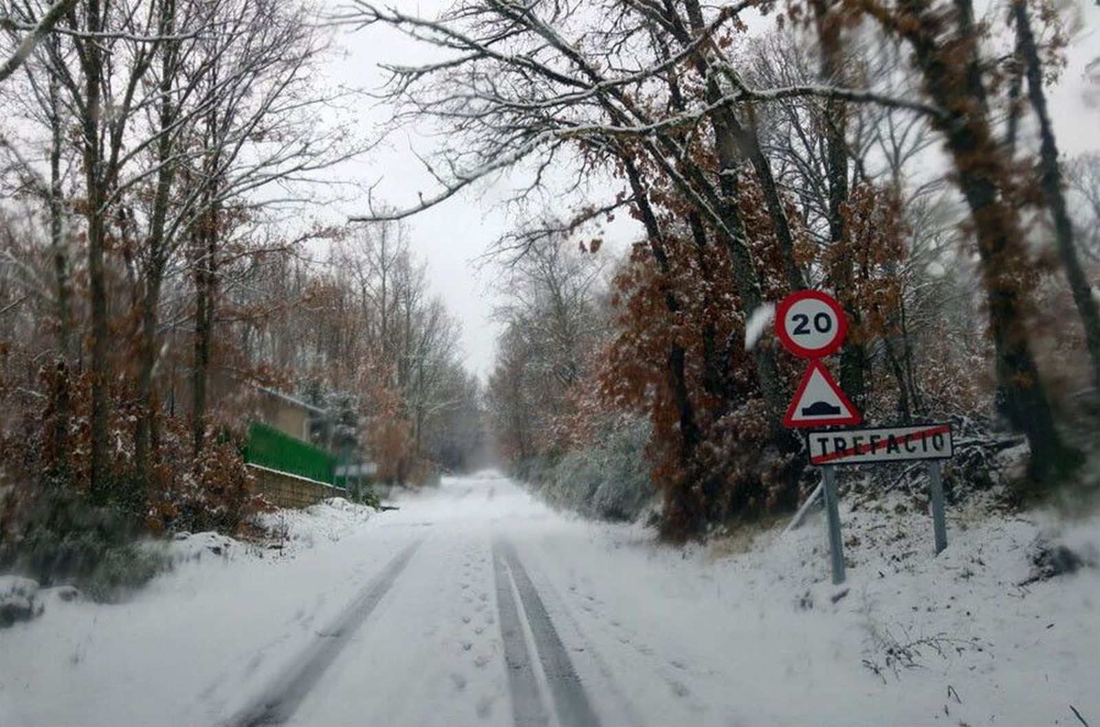 Trefacio carretera nieve