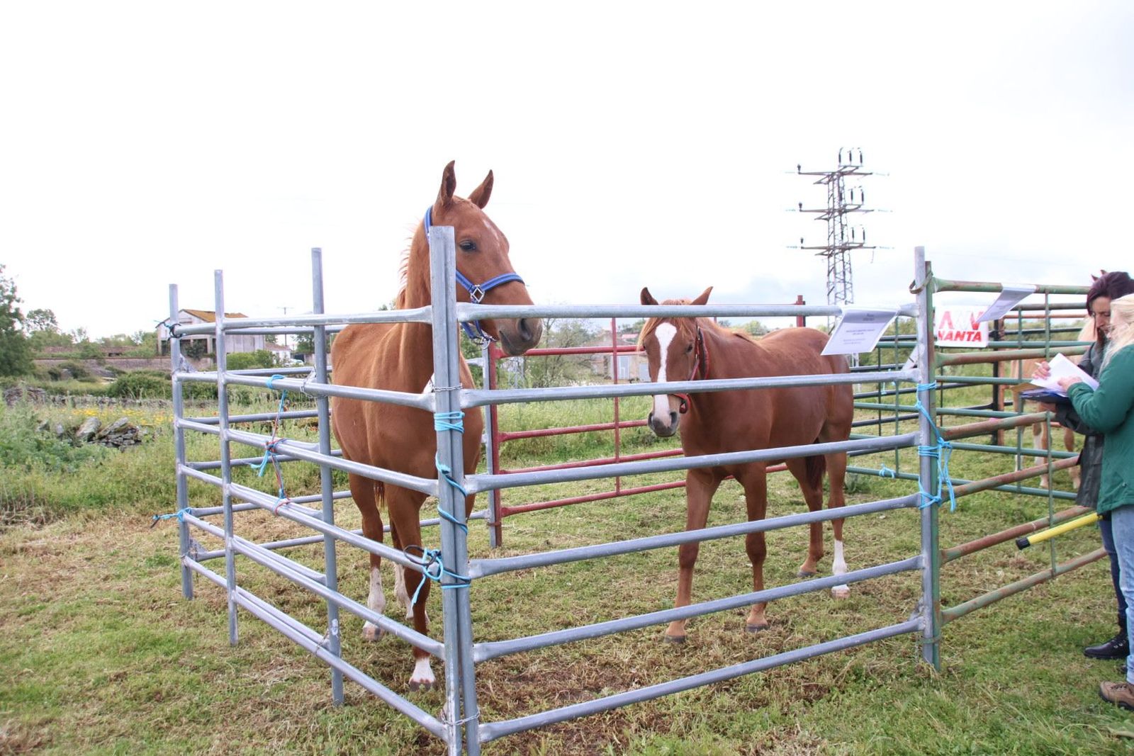 20240501103439-img-2920