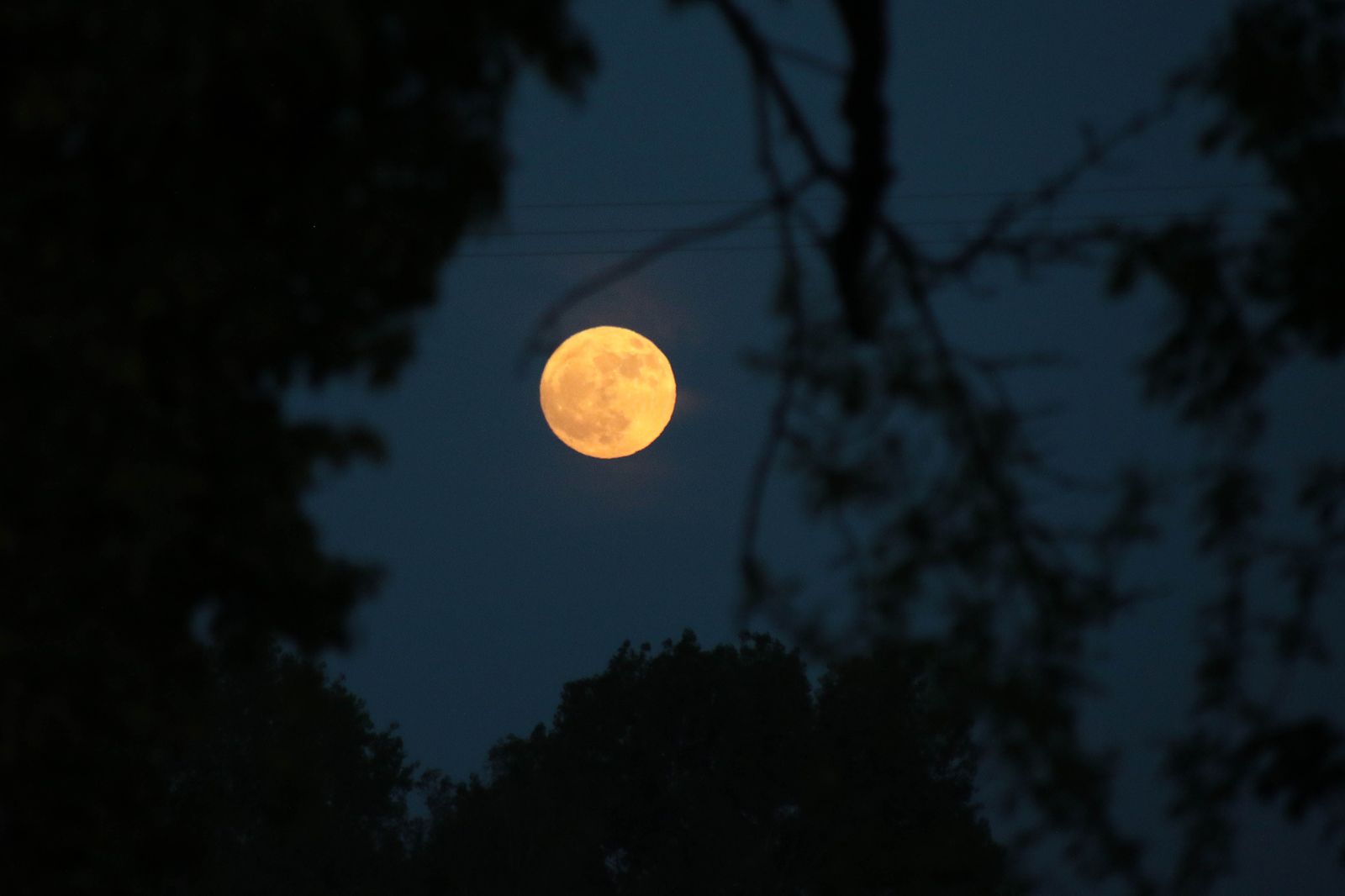 La precesión nodal de la luna hace que se muestre más baja de lo habitual | Foto: Peio García (ICAL) La precesión nodal de la luna hace que se muestre más baja de lo habitual | Foto: Peio García (ICAL)