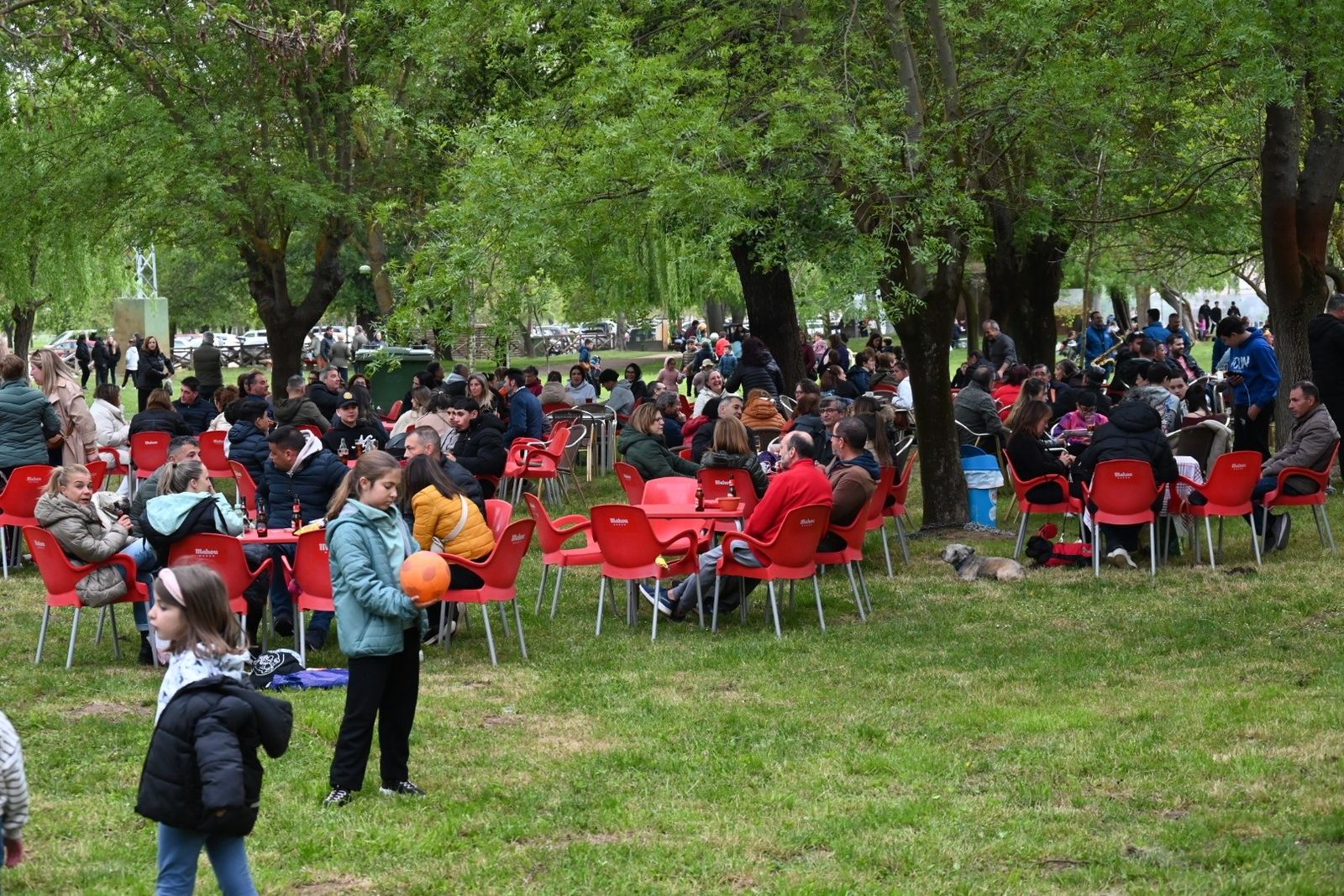 Lunes de Aguas en Ciudad Rodrigo