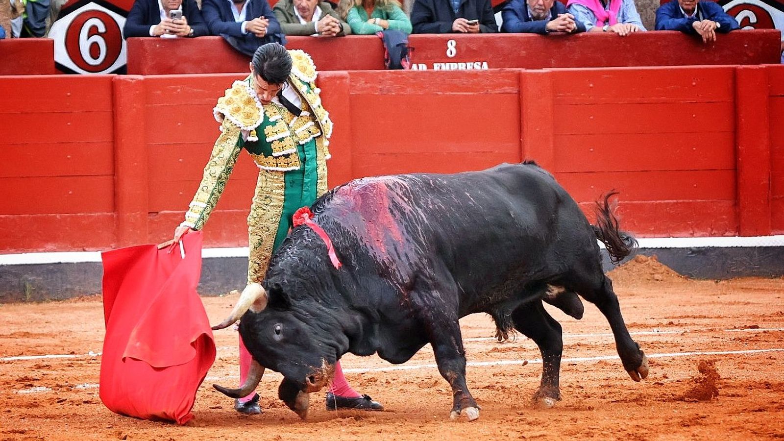 'Querido' de Garcigrande y Alejandro Talavante en La Glorieta