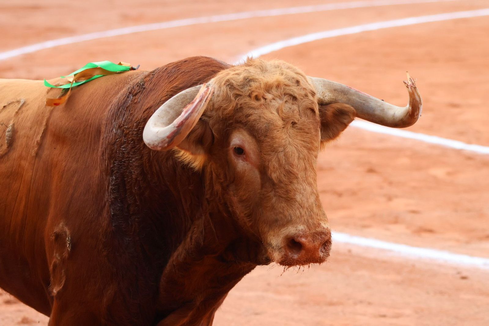 20230910182150-img-2064