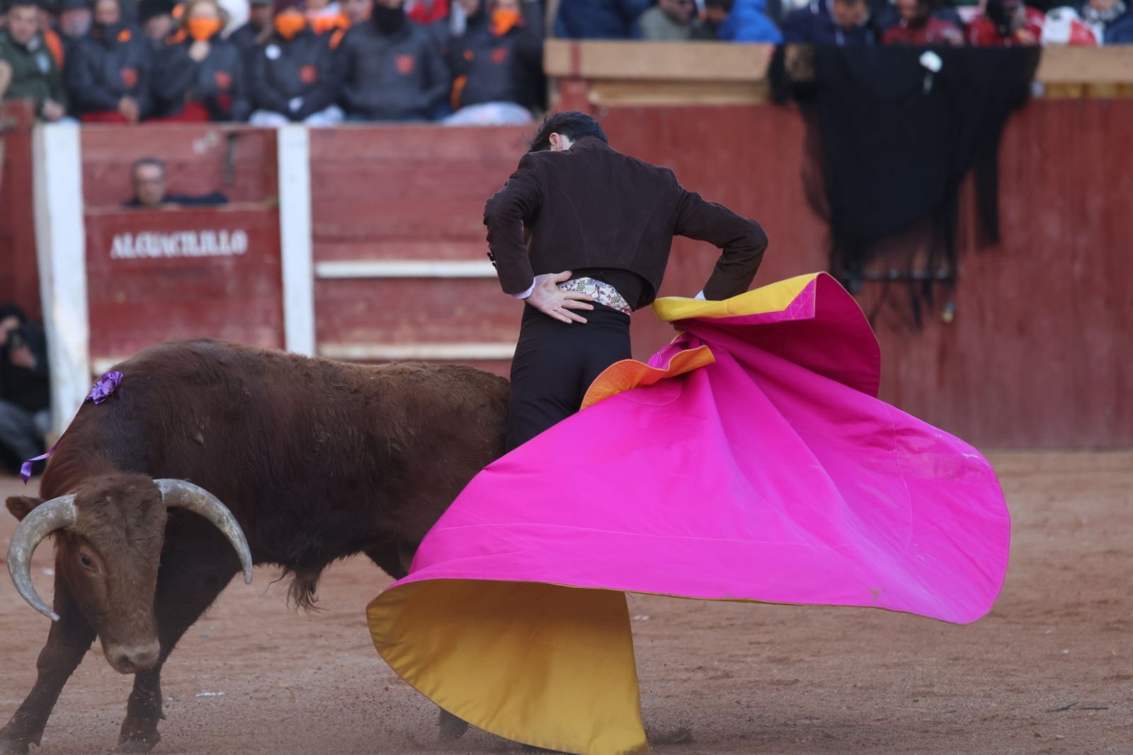 Festival taurino del Sábado en el Carnaval del Toro 2026 de Ciudad Rodrigo