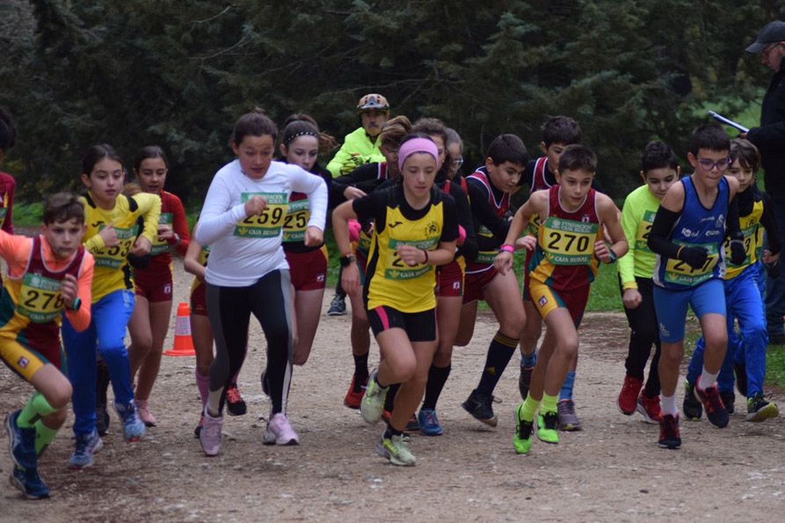 cross-de-otono-en-el-bosque-de-valorio-31