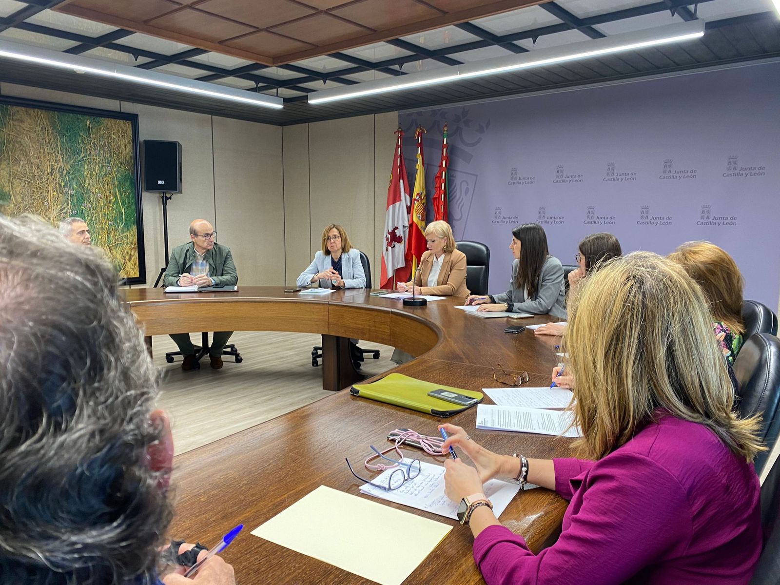 Comisión de Coordinación de la Junta