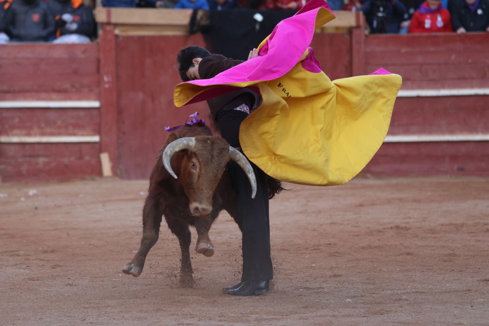 Festival taurino del Sábado en el Carnaval del Toro 2026 de Ciudad Rodrigo