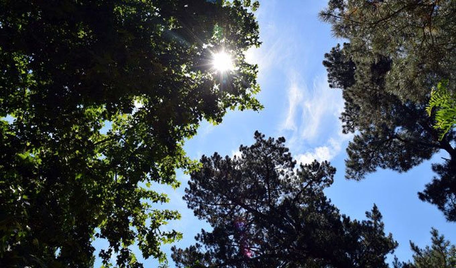 Las temperaturas empiezan a bajar de forma progresiva