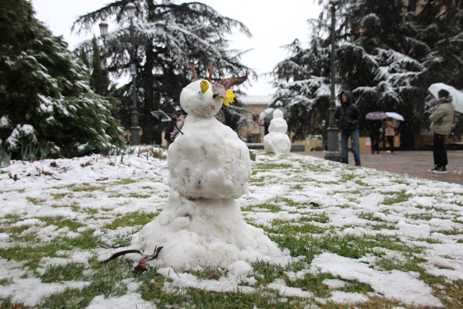 galeria-nieve-en-salamanca-capital-23-de-febrero-12