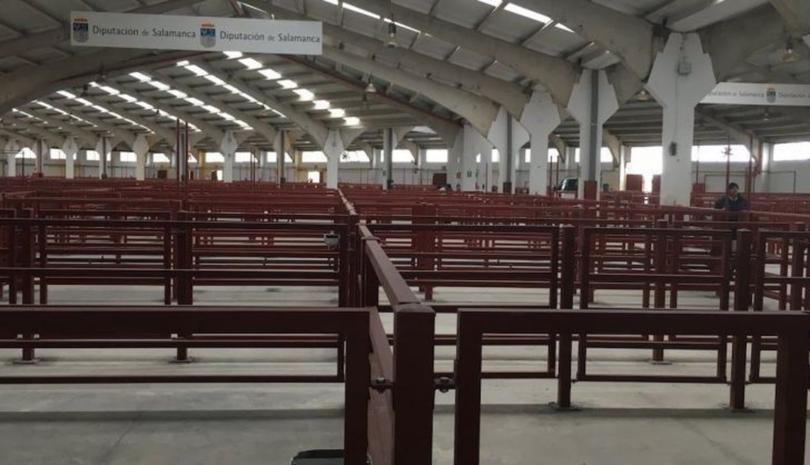 Naves vaci as en el mercado de ganado 1 728x418