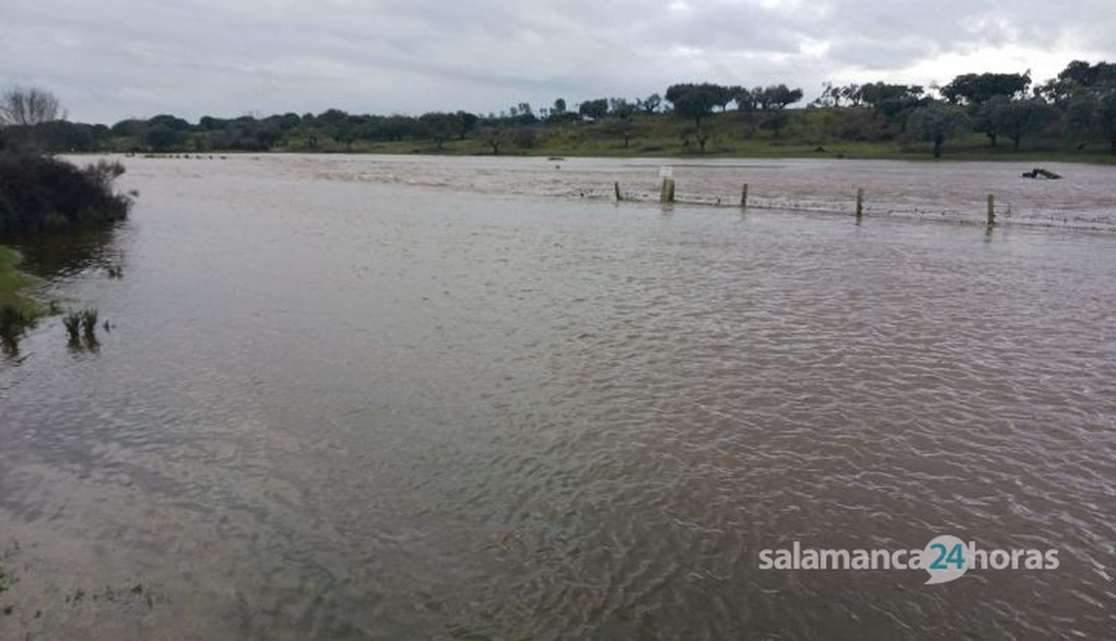 El río Oblea a su paso por la finca 'Rollanejo', entre los municipios de Buenamadre y El Cubo de Don Sancho. Foto S24H